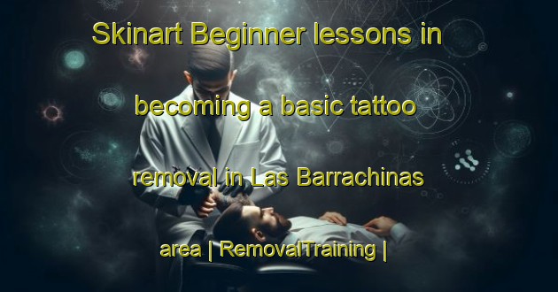 Skinart Beginner lessons in becoming a basic tattoo removal in Las Barrachinas area | RemovalTraining | RemovalClasses | SkinartTraining-Spain